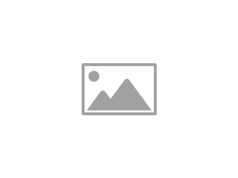 vivoz8720